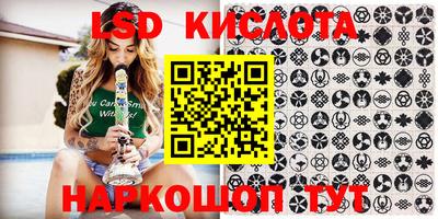 стаф Канаш