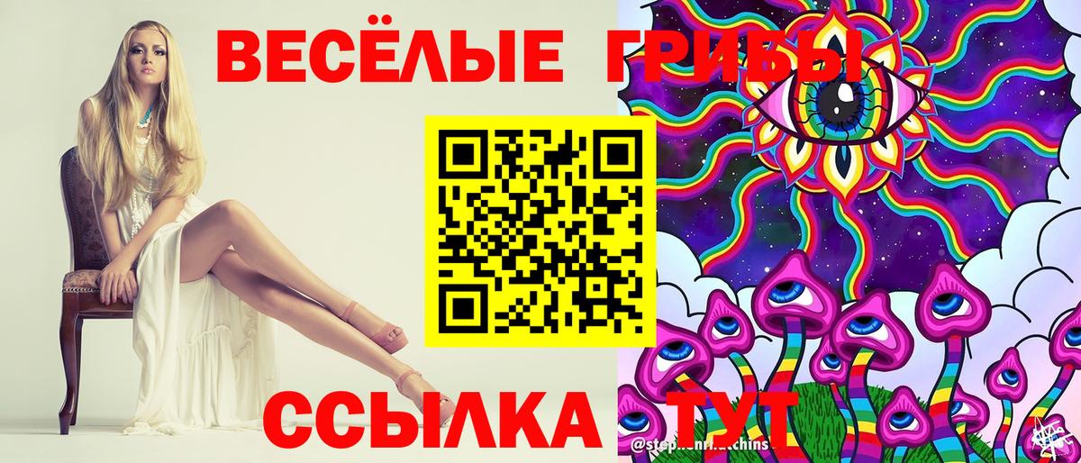 Курчалой  Псилоцибиновые грибы MAGIC MUSHROOMS  Вход с VPN 