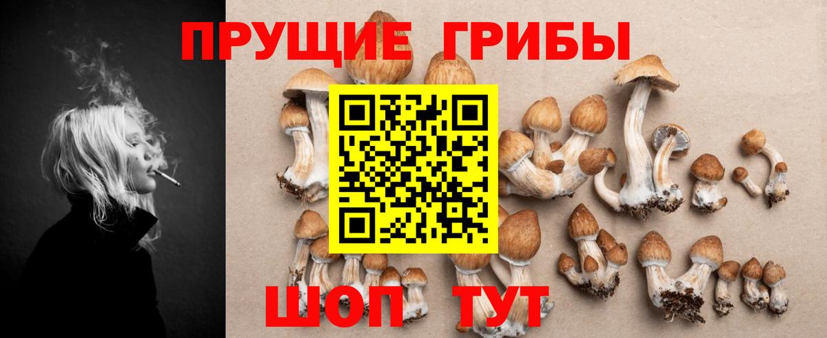 Псилоцибиновые грибы Magic Shrooms Курчалой