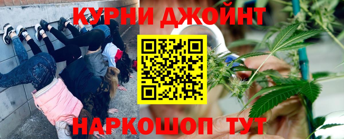 Курчалой  Шишки марихуана марихуана  Вход с VPN  Канабис OG Kush 